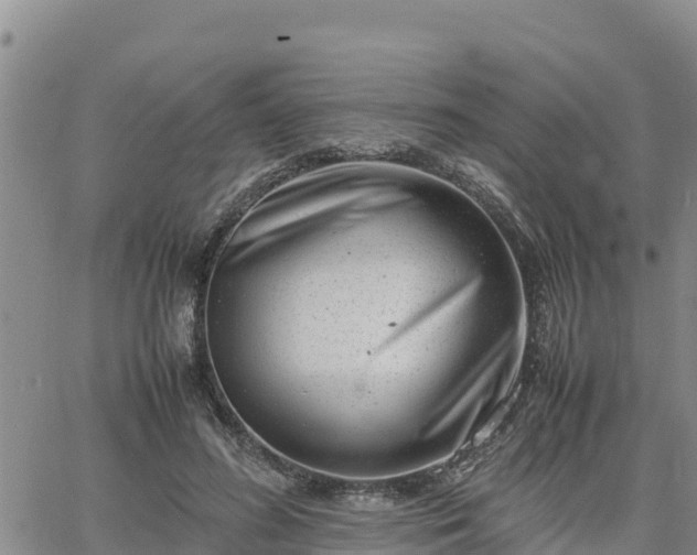 X0000064750596200602171735