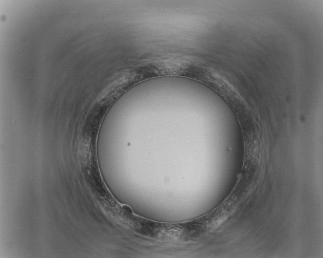 X0000064750599200602171735