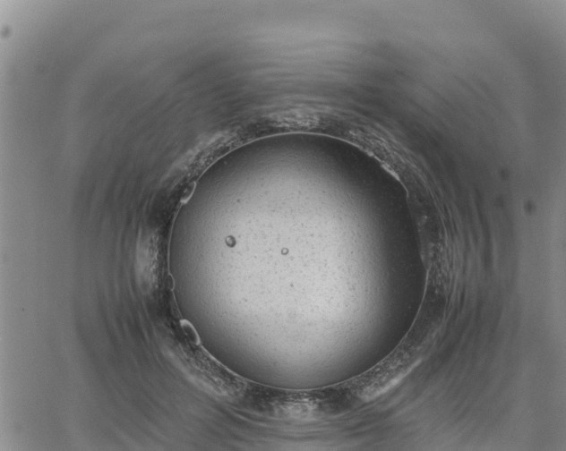 X0000064750600200602171735