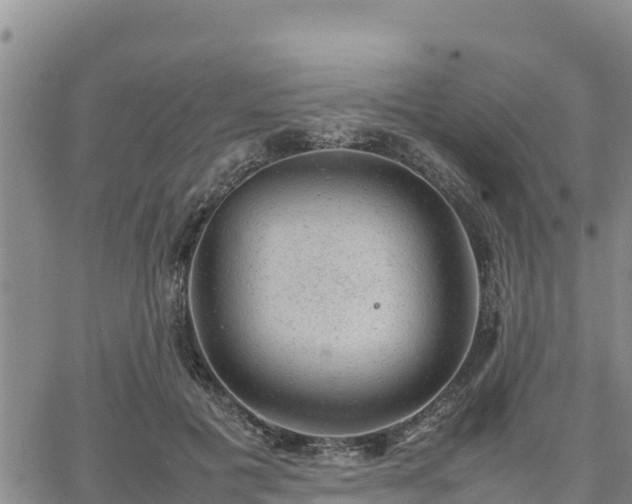 X0000064750601200602171735