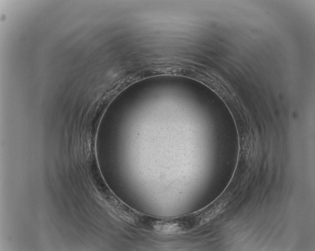 X0000064750602200602171735