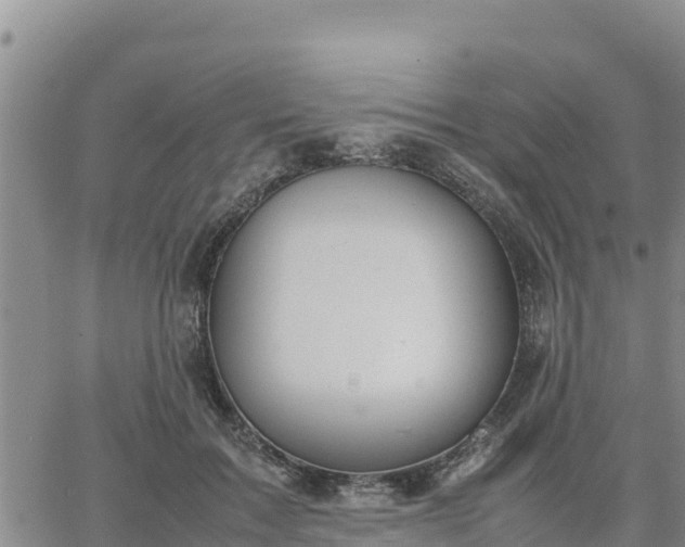 X0000064750603200602171735