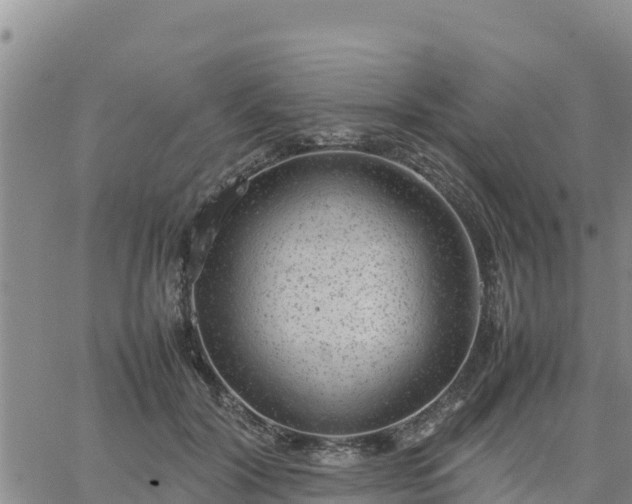 X0000064750604200602171735