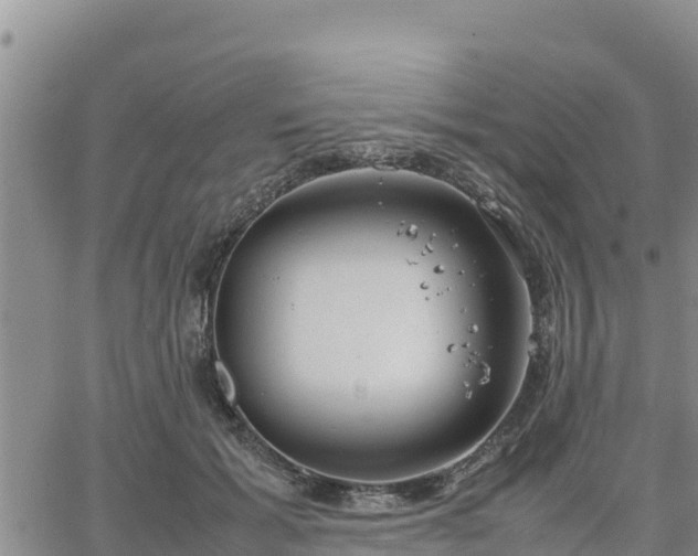 X0000064750605200602171735