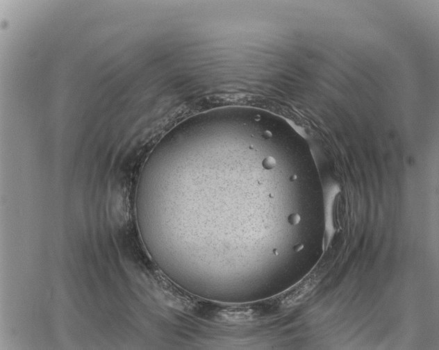 X0000064750606200602171735