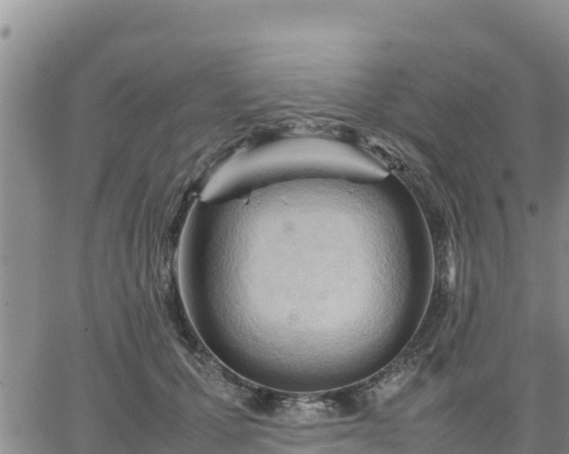 X0000064750607200602171735