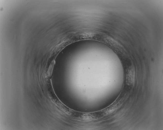 X0000064750608200602171735