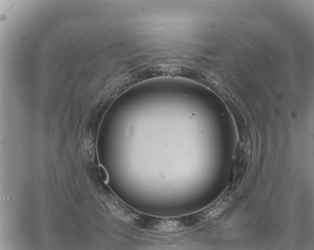 X0000064750609200602171735