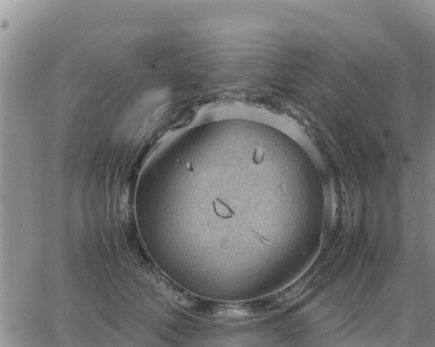 X0000064750610200602171735