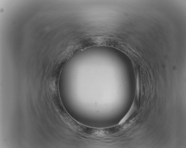 X0000064750611200602171735