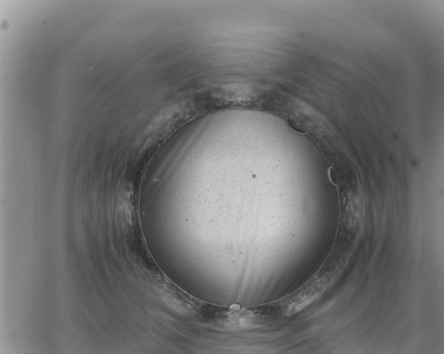 X0000064750612200602171735