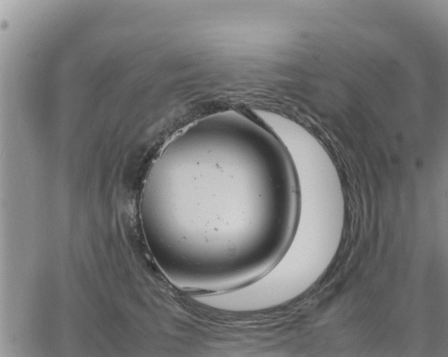 X0000064750613200602171735