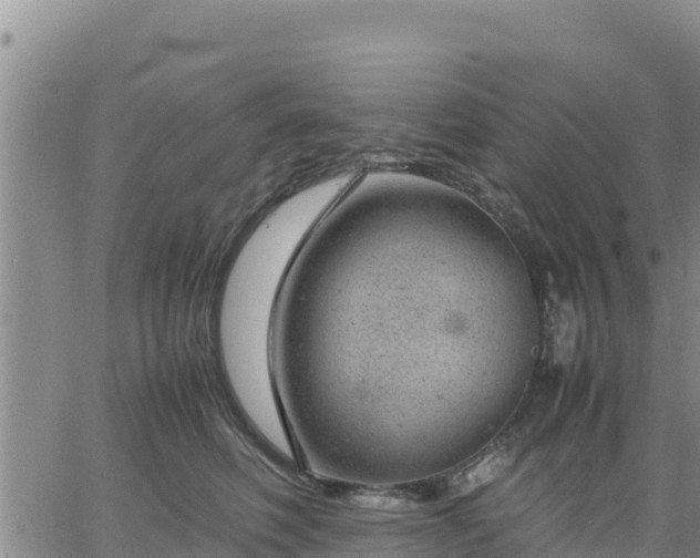 X0000064750614200602171735