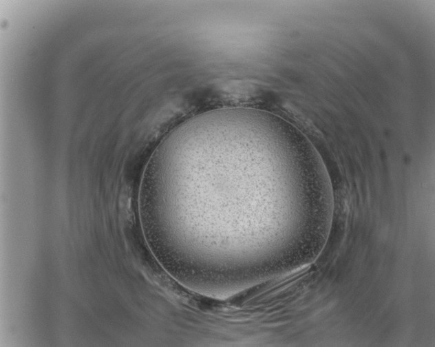 X0000064750615200602171735