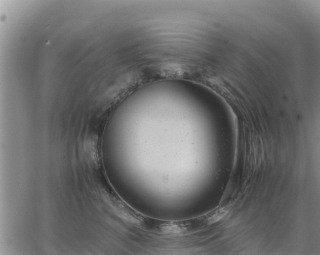 X0000064750616200602171734