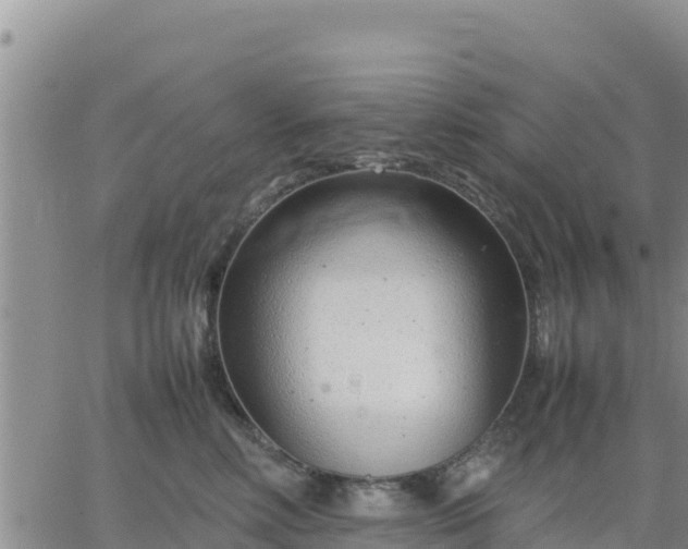 X0000064750618200602171734