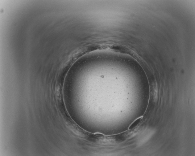 X0000064750619200602171734