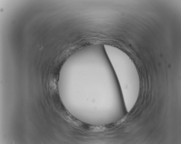 X0000064750621200602171734