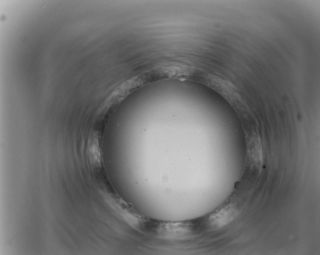 X0000064750622200602171734