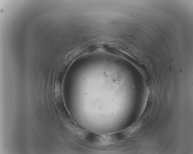 X0000064750623200602171734