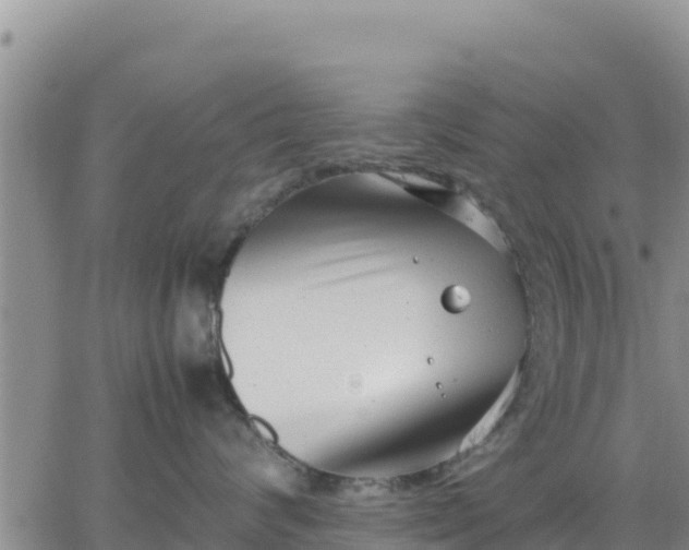 X0000064750624200602171734