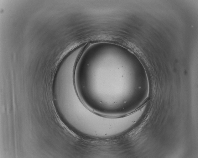 X0000064750625200602171734