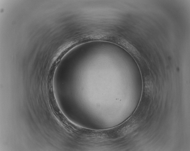 X0000064750626200602171734