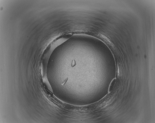 X0000064750627200602171734