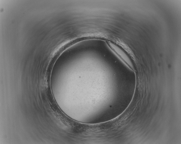 X0000064750628200602171734