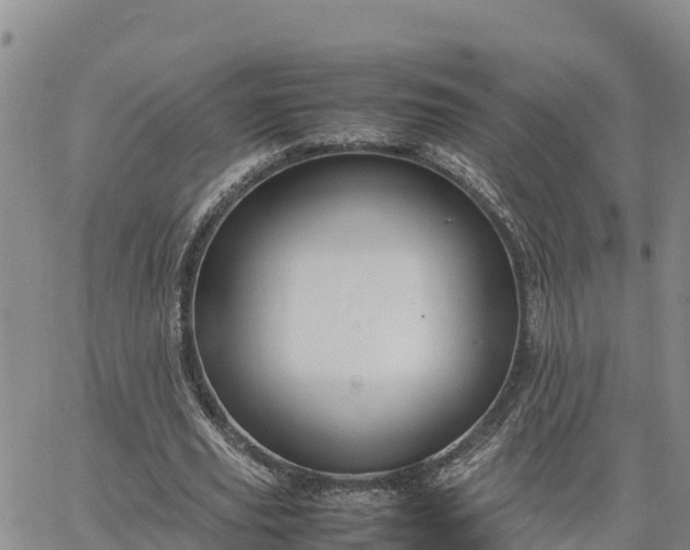 X0000064750629200602171734