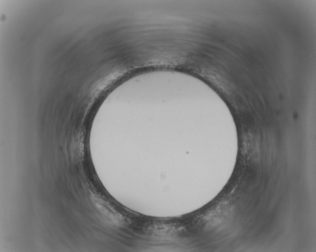 X0000064750632200602171734