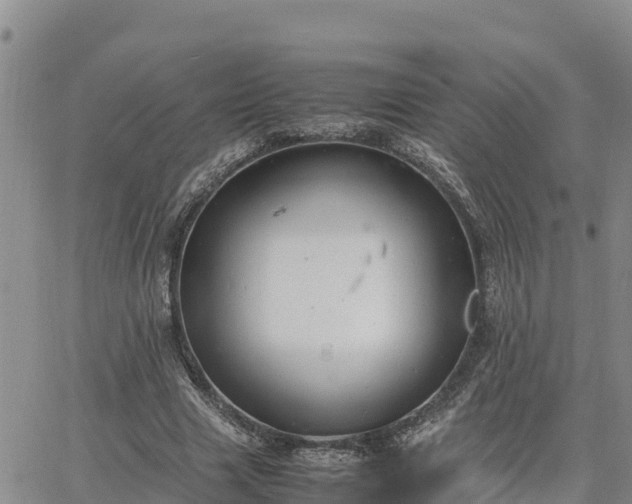 X0000064750633200602171734