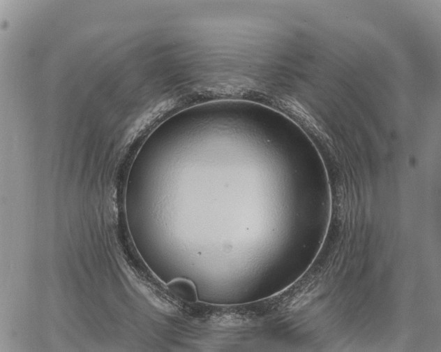 X0000064750634200602171734