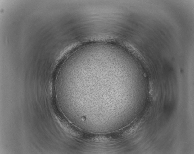 X0000064750636200602171734