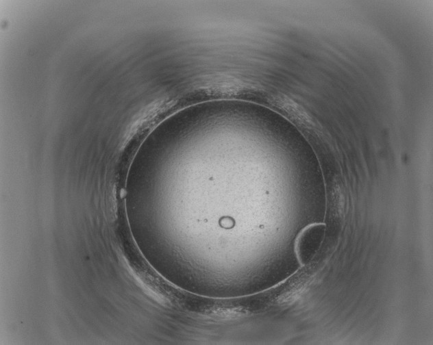 X0000064750638200602171734