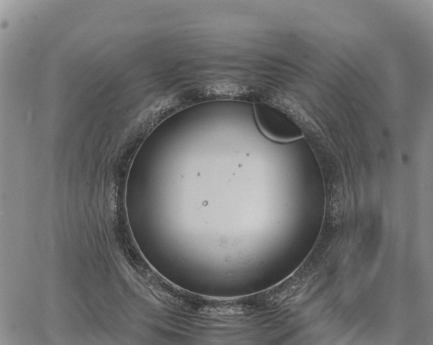 X0000064750639200602171734