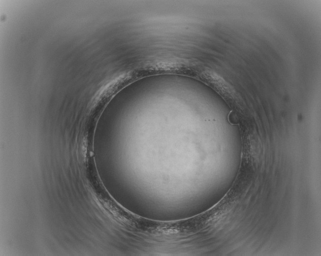 X0000064750640200602171734