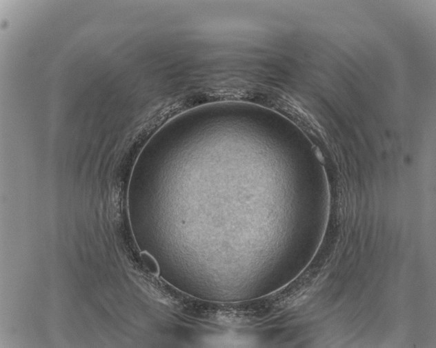 X0000064750641200602171734