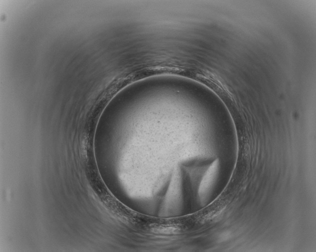 X0000064750643200602171734