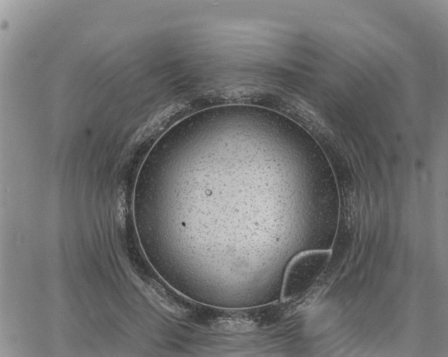 X0000064750644200602171734