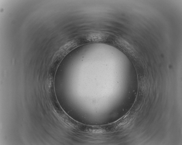 X0000064750645200602171734