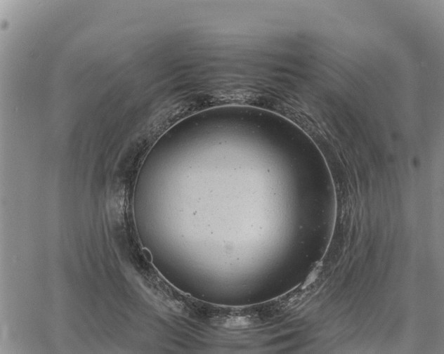 X0000064750647200602171734