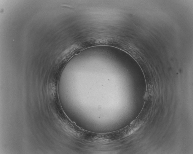 X0000064750648200602171734