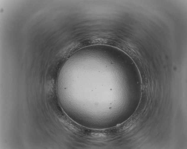 X0000064750649200602171734