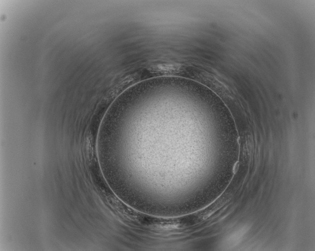 X0000064750651200602171734