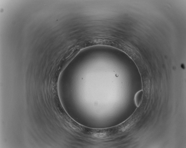 X0000064750653200602171734