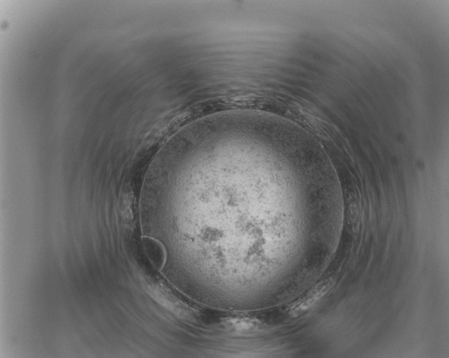 X0000064750654200602171734