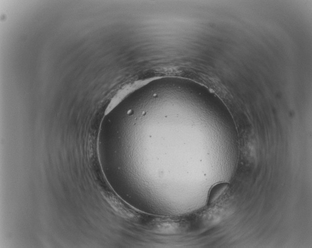 X0000064750658200602171734