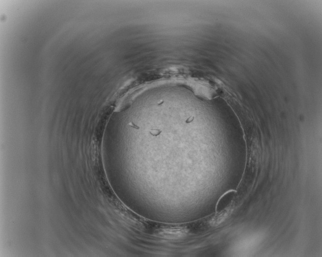 X0000064750659200602171734