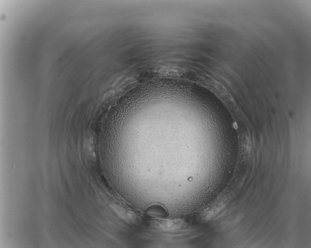 X0000064750663200602171734